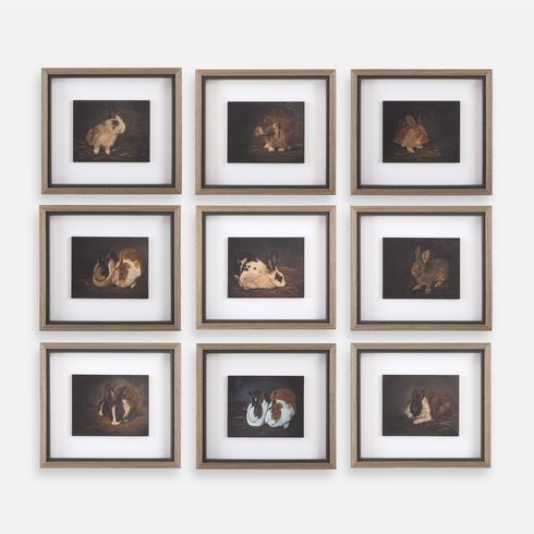 Resting Bunny Framed Prints Set/9
