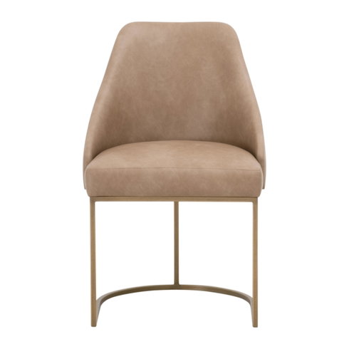 Parissa Dining Chair, Set of 2