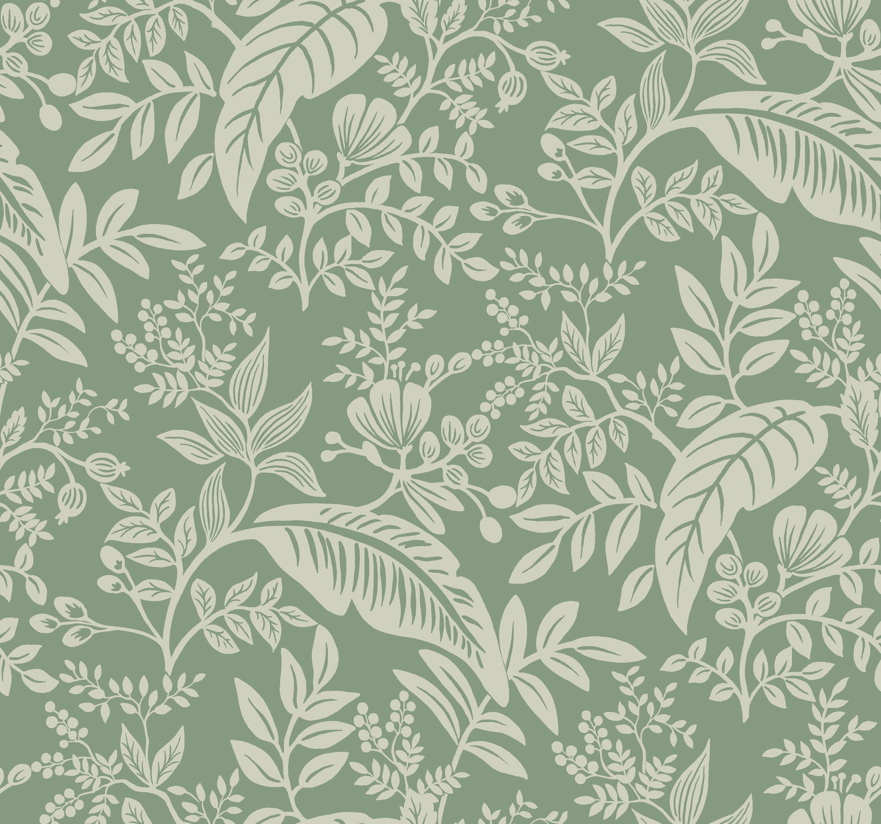 Canopy Sage Wallpaper large image 