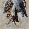 Feathertail thumbnail 0