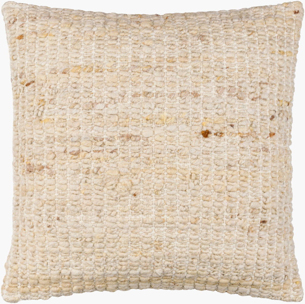 Zayden Accent Pillow, Decorative Pillow by Surya, 22" length x 22" width
