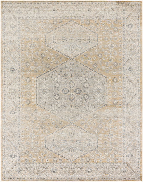 Alpharetta Machine Woven Rug