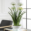 Purity Agapanthus Centerpiece, Artificial Plants & Flower by Uttermost, 30" width x 38.5" height x 30" depth thumbnail 2