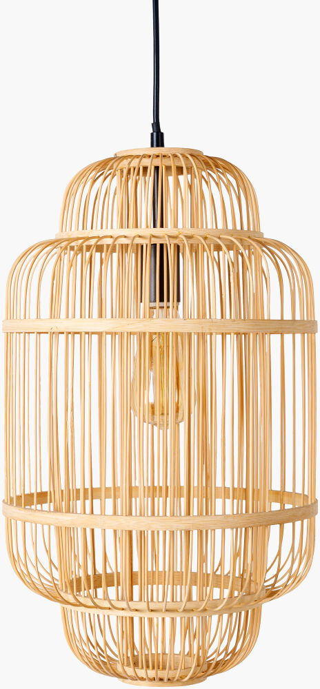 Ornado Pendant, by Surya, 12" length x 12" width x 47" height