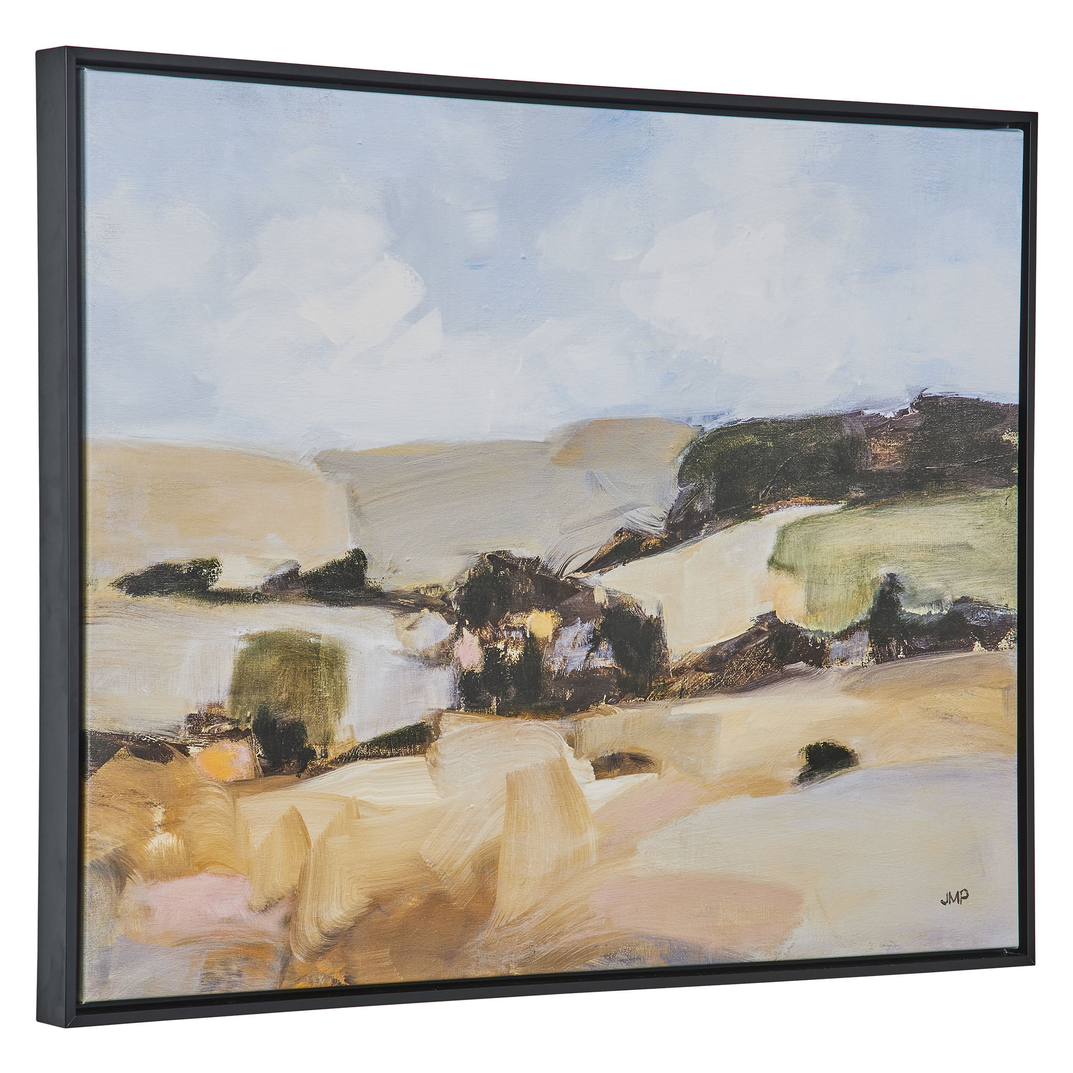 Desert Moment Framed Landscape Art large image 