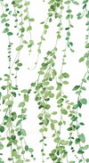 Hanging Watercolor Vines Green Peel & Stick Wallpaper, by York Wall, 18'10.8" length x 1'6" width x 0.02" depth thumbnail