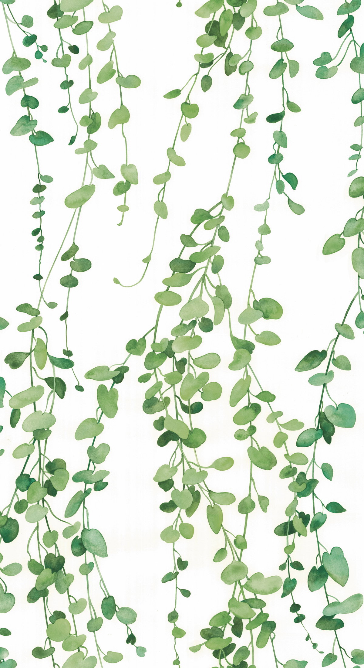 Hanging Watercolor Vines Green Peel & Stick Wallpaper, by York Wall, 18'10.8" length x 1'6" width x 0.02" depth
