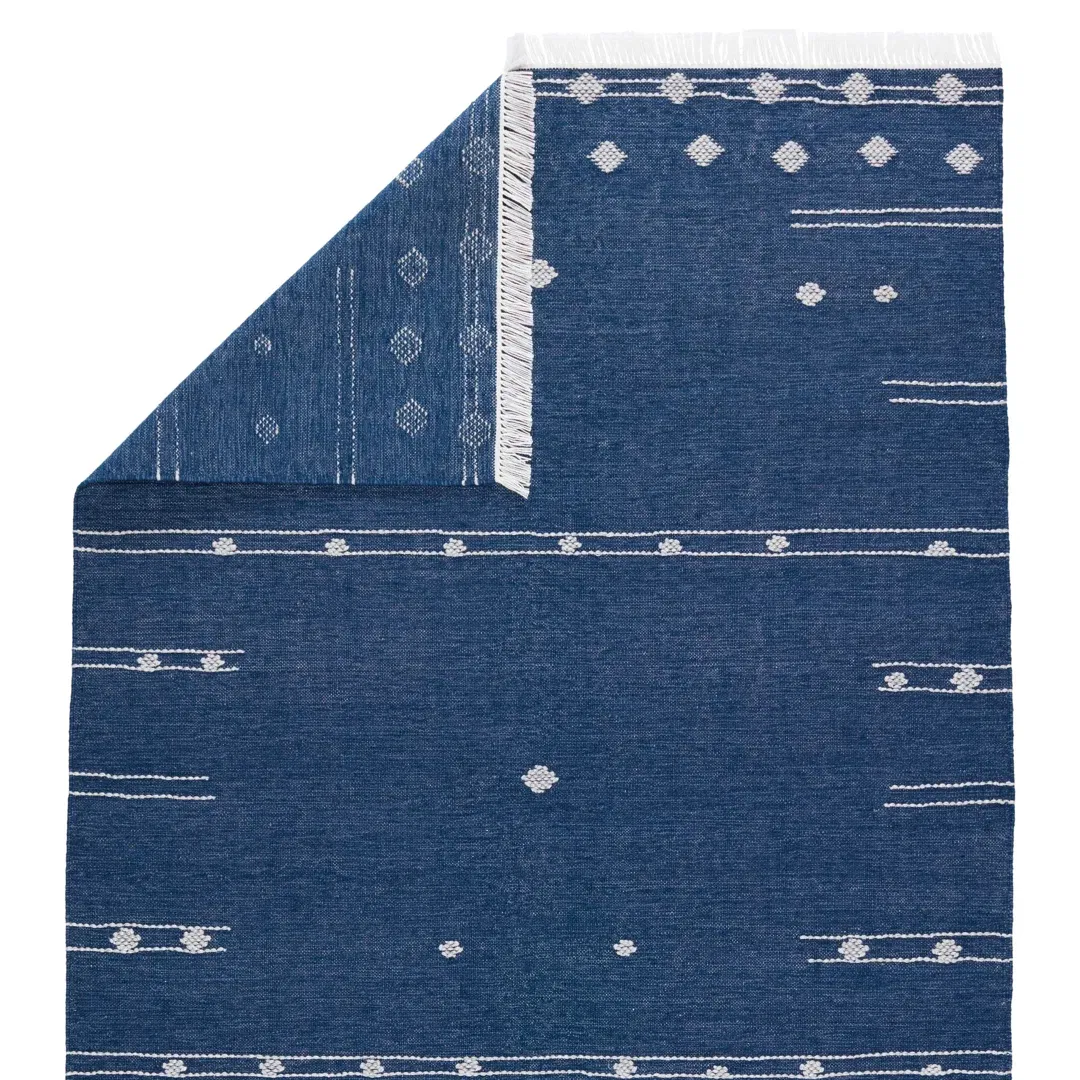Calli Indoor/ Outdoor Geometric Blue/ White Area Rug large image 