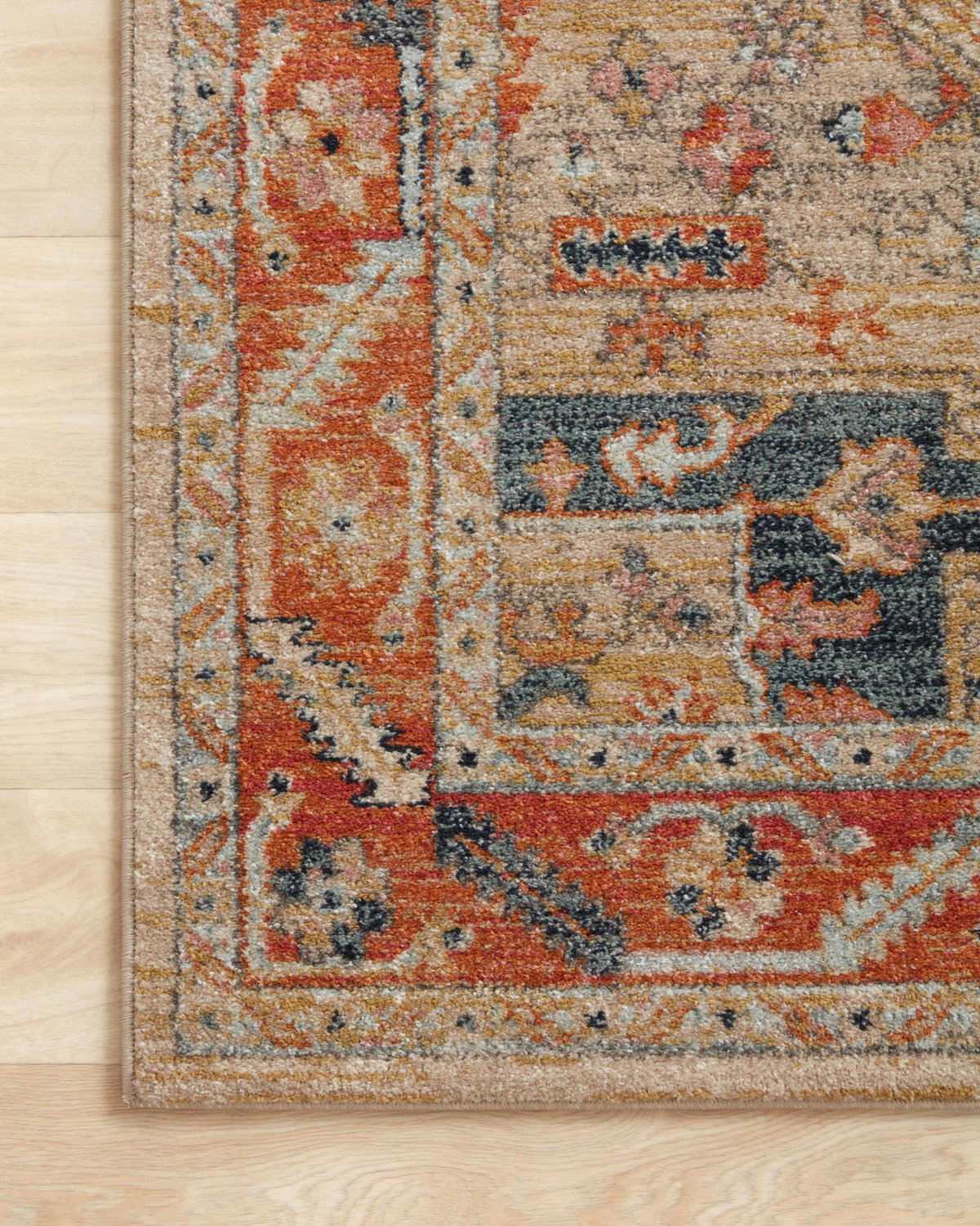 Loloi Jocelyn Rug, 1'6" length x 1'6" width View 6