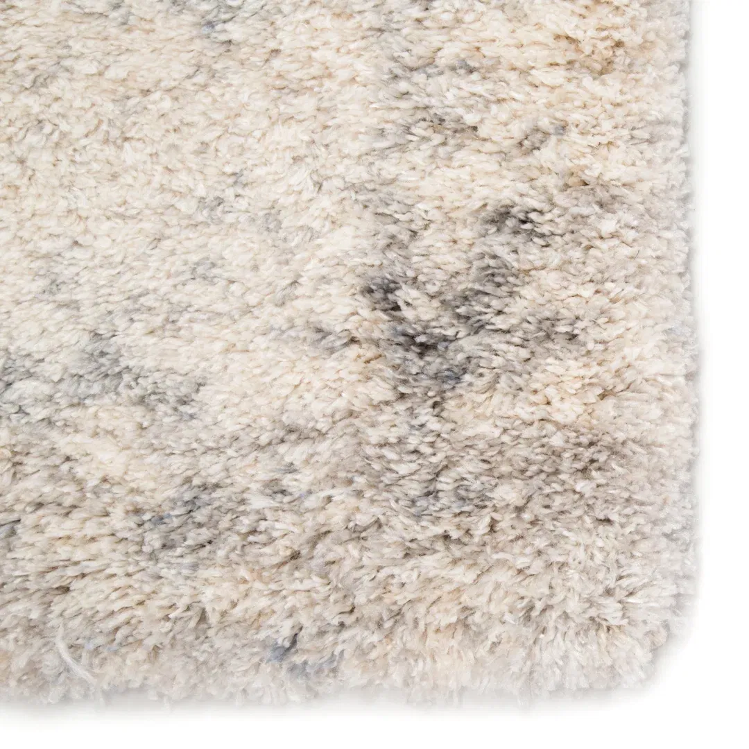Jaipur Living Digon CEN02 Handknotted Stripes Ivory Area Rug (10'x14') large image 