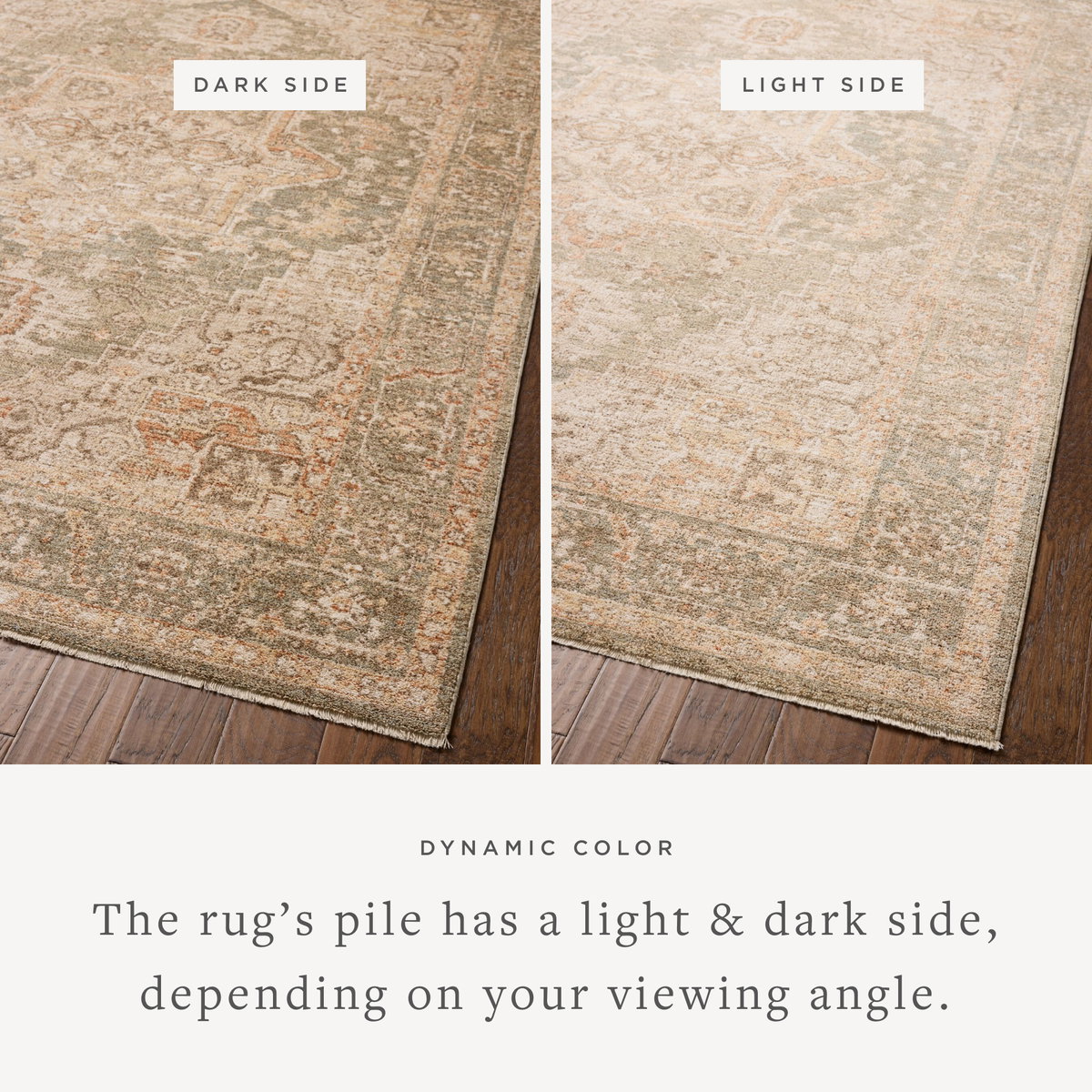 Chris Loves Julia x Loloi Palma Rug, 2'7" length x 7'6" width View 3