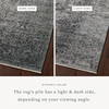 Loloi Sonnet Rug, 5' length x 7'10" width thumbnail 2