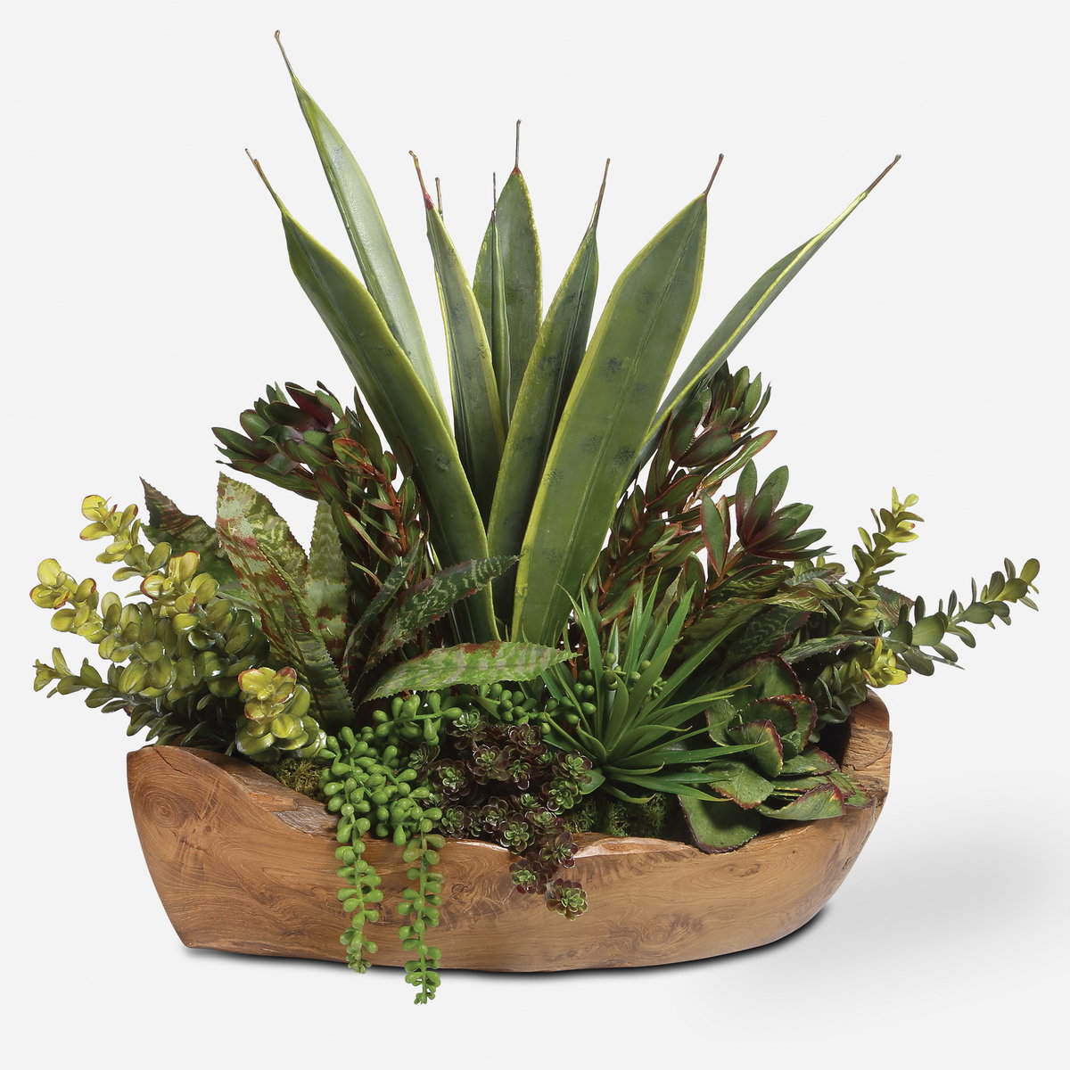 Salar Succulents In Teak Bowl, Artificial Plants & Flower by Uttermost, 22" width x 20" height x 12" depth View 1