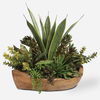 Salar Succulents In Teak Bowl thumbnail 0