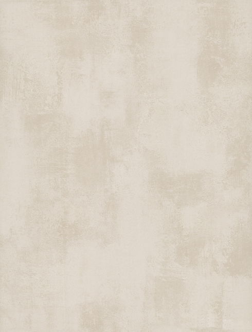 Italian Plaster Taupe Wallpaper