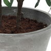 Marisol Potted Olive Plant, Decorative by Uttermost, 28.5" width x 45.25" height x 26.5" depth thumbnail 7