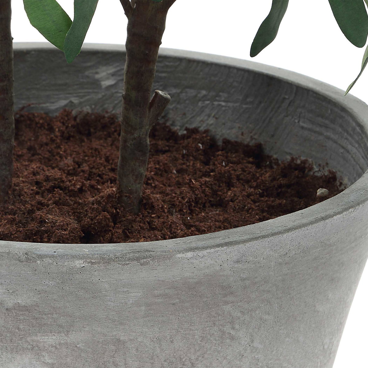 Marisol Potted Olive Plant, by Uttermost, 2'4.5" width x 3'9.25" height x 2'2.5" depth View 7