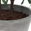 Marisol Potted Olive Plant, by Uttermost, 2'4.5" width x 3'9.25" height x 2'2.5" depth thumbnail 7