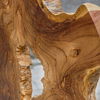 Bahati Wood Natural Sculpture thumbnail 5