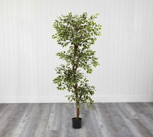 Online Designer Bedroom Faux Variegated Ficus Tree, 6'