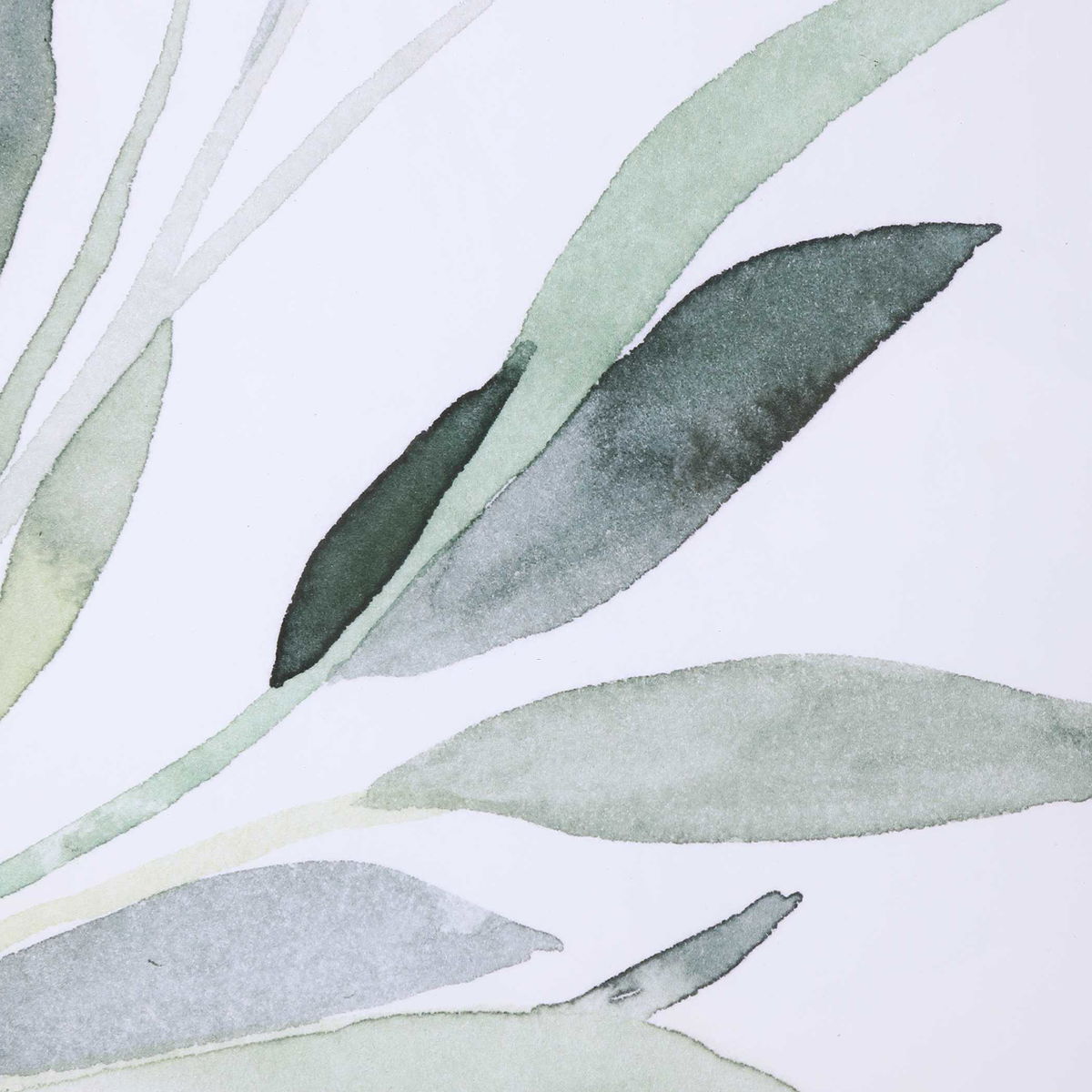 Simple Sage Watercolor Prints Set/3, Art by Uttermost, 25.5" width x 36.5" height x 2" depth View 6