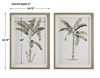 Banana Palm Framed Prints, Set/2 thumbnail 2