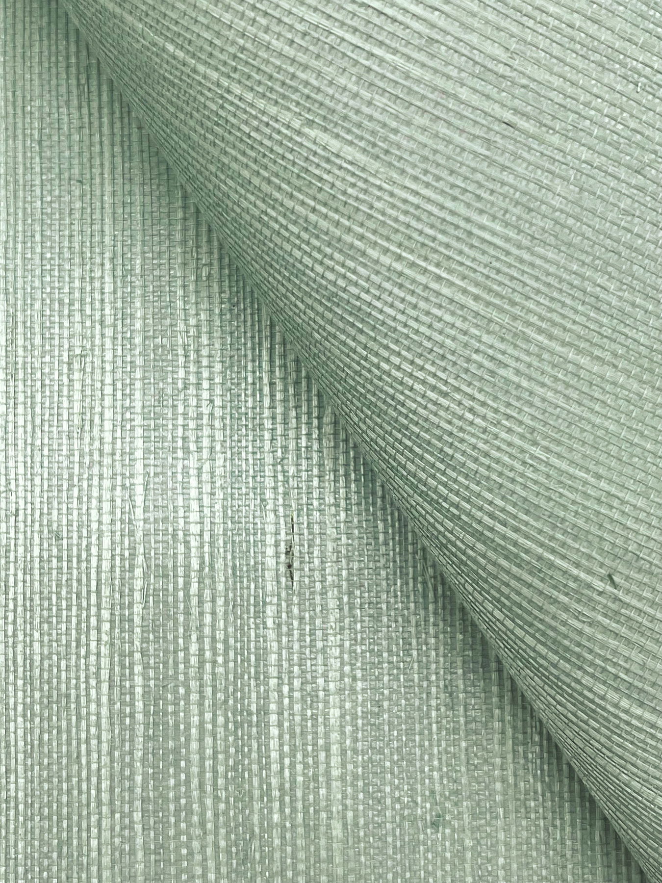 Maguey Sisal Seaglass Wallpaper large image 