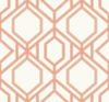 Sawgrass Trellis Coral Wallpaper, by York Wall, 27' length x 2'3" width x 0.02" depth thumbnail 1