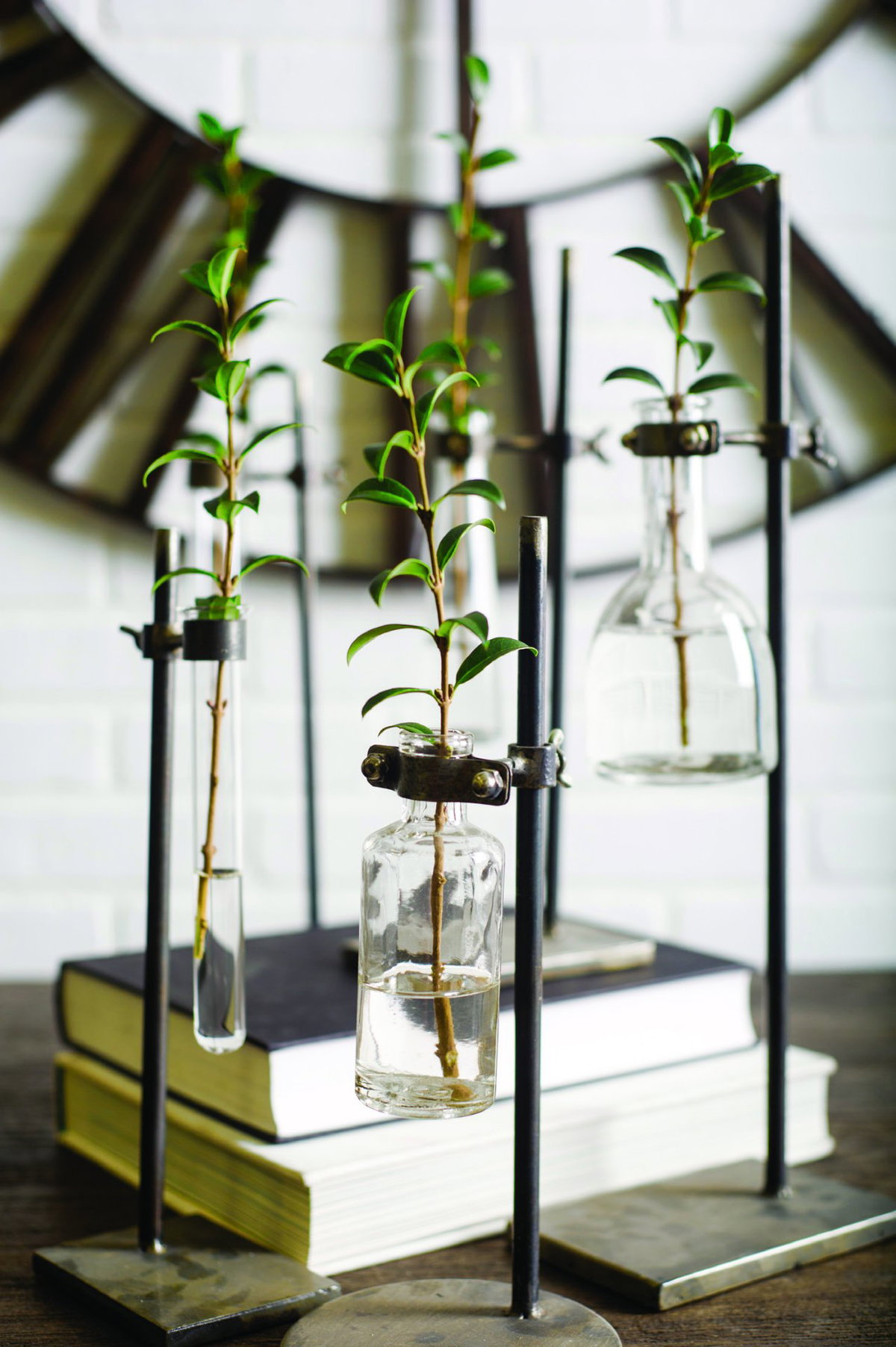 Jarvis Set of Five Dark Brown Metal and Glass Chemistry Inspired Bottles, Vase by Mercana, 5" length x 5.12" width x 12.5" height View 3