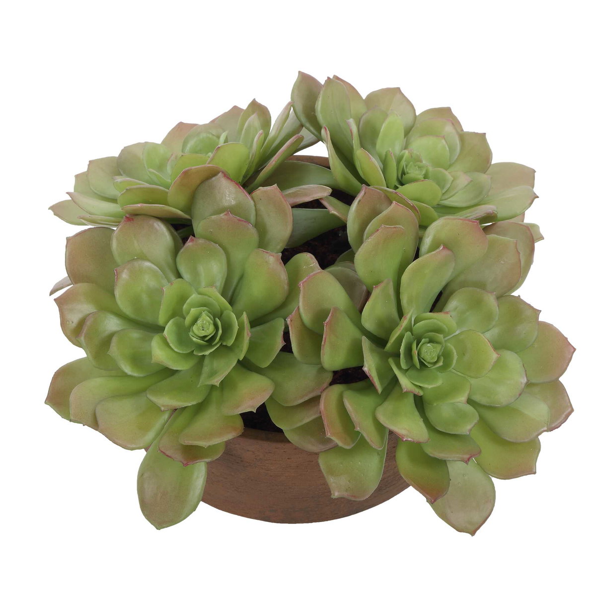 Sable Succulent Accent In Pot, Artificial Plants & Flower by Uttermost, 13.25" width x 8.5" height x 13.25" depth View 5