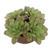 Sable Succulent Accent In Pot, Artificial Plants & Flower by Uttermost, 13.25" width x 8.5" height x 13.25" depth thumbnail 5