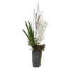 Eterna Orchid Centerpiece & Vase, Artificial Plants & Flower by Uttermost, 19.75" width x 48.5" height x 19.75" depth thumbnail 4