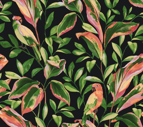 Tropical Love Birds Black Wallpaper