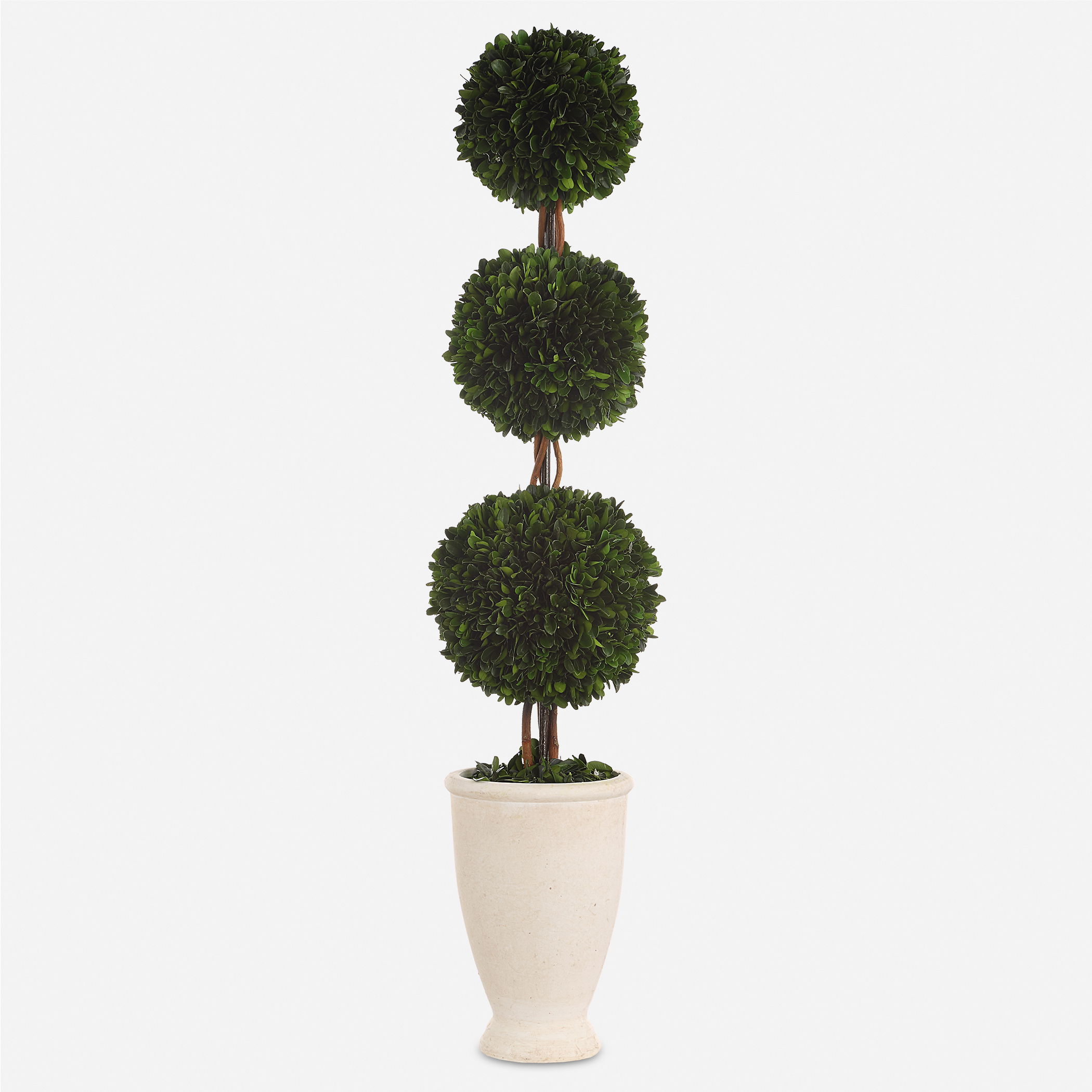 Preserved Boxwood Triple Topiary large image 