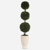 Preserved Boxwood Triple Topiary thumbnail 0