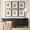 Orchid Botanical Framed Prints Set/6 1 Orchid Botanical Framed Prints Set/6 thumbnail 1