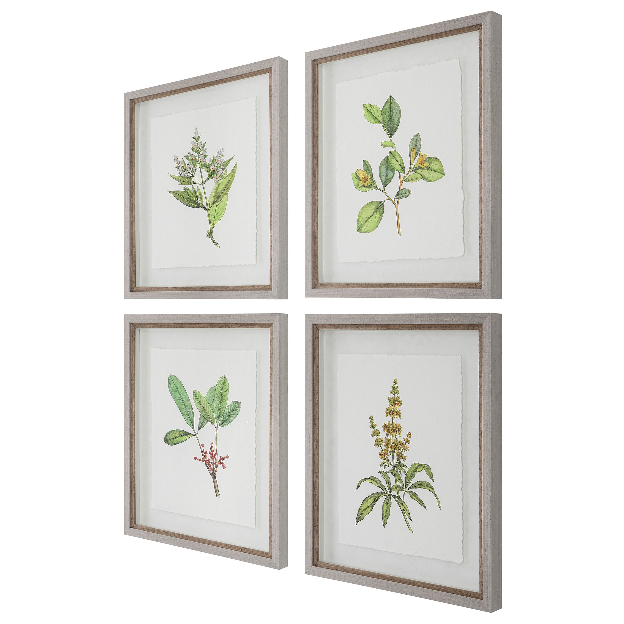 Wildflower Study Framed Prints, S/4 large image 