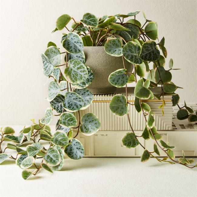 Online Designer Bathroom Potted Faux Eucalyptus 8