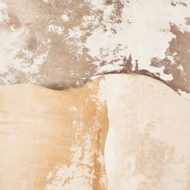 Online Designer Combined Living/Dining Harland Modern Cowhide Rug