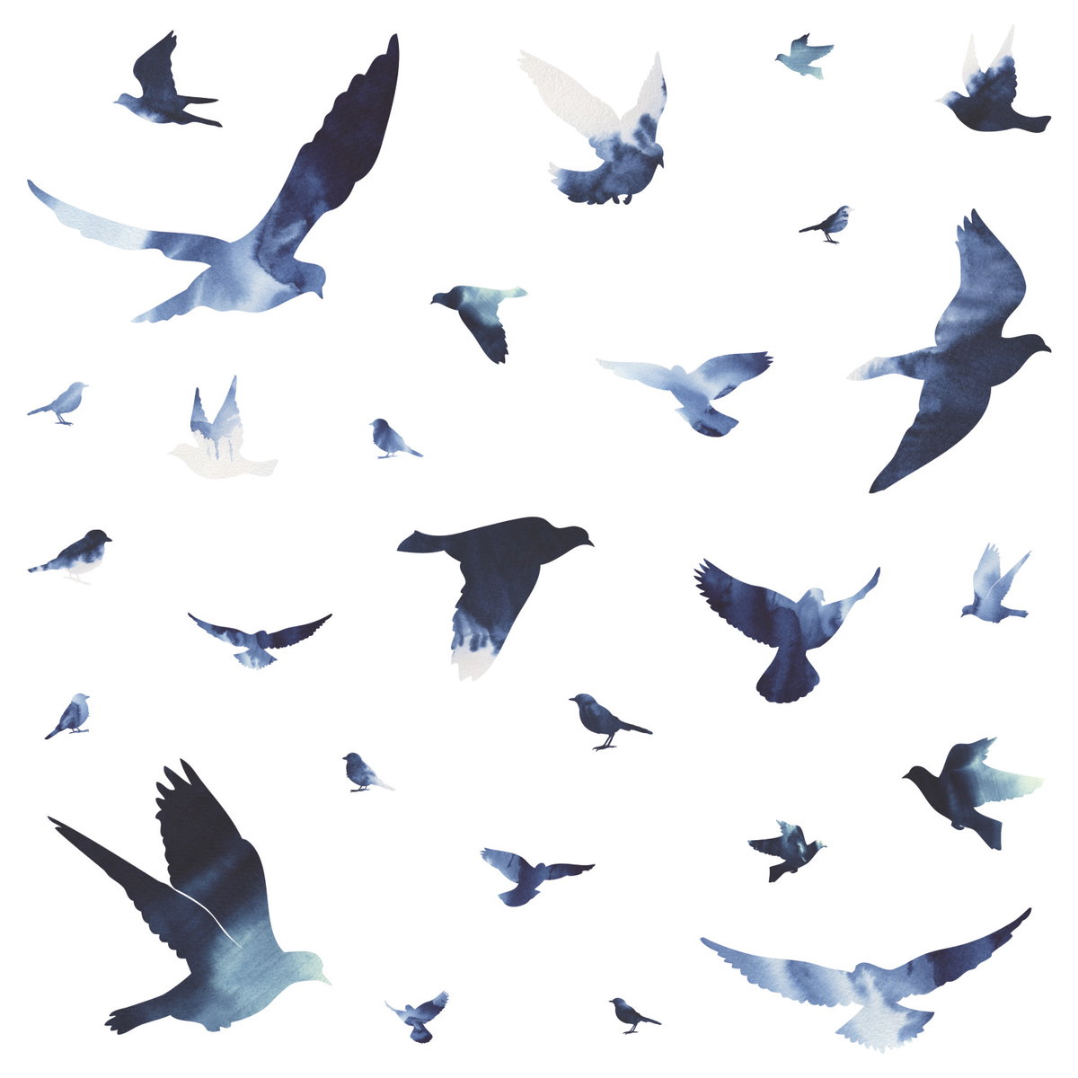 Birds In Flight Giant Wall Decals, by York Wall, 3' length x 1'5.25" width x 1.66" depth