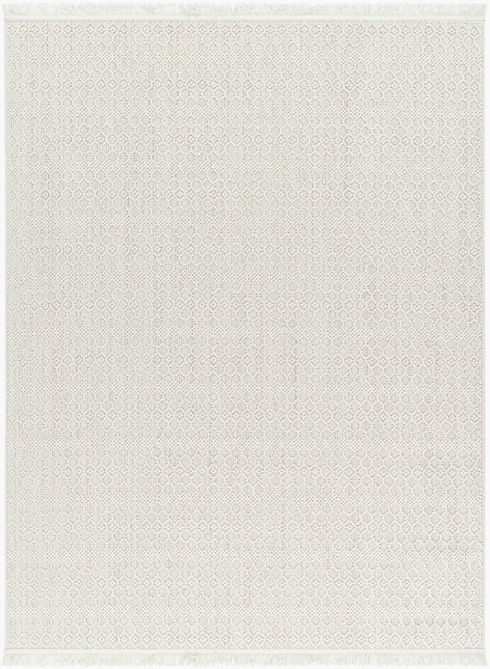 New Delhi Machine Woven Rug