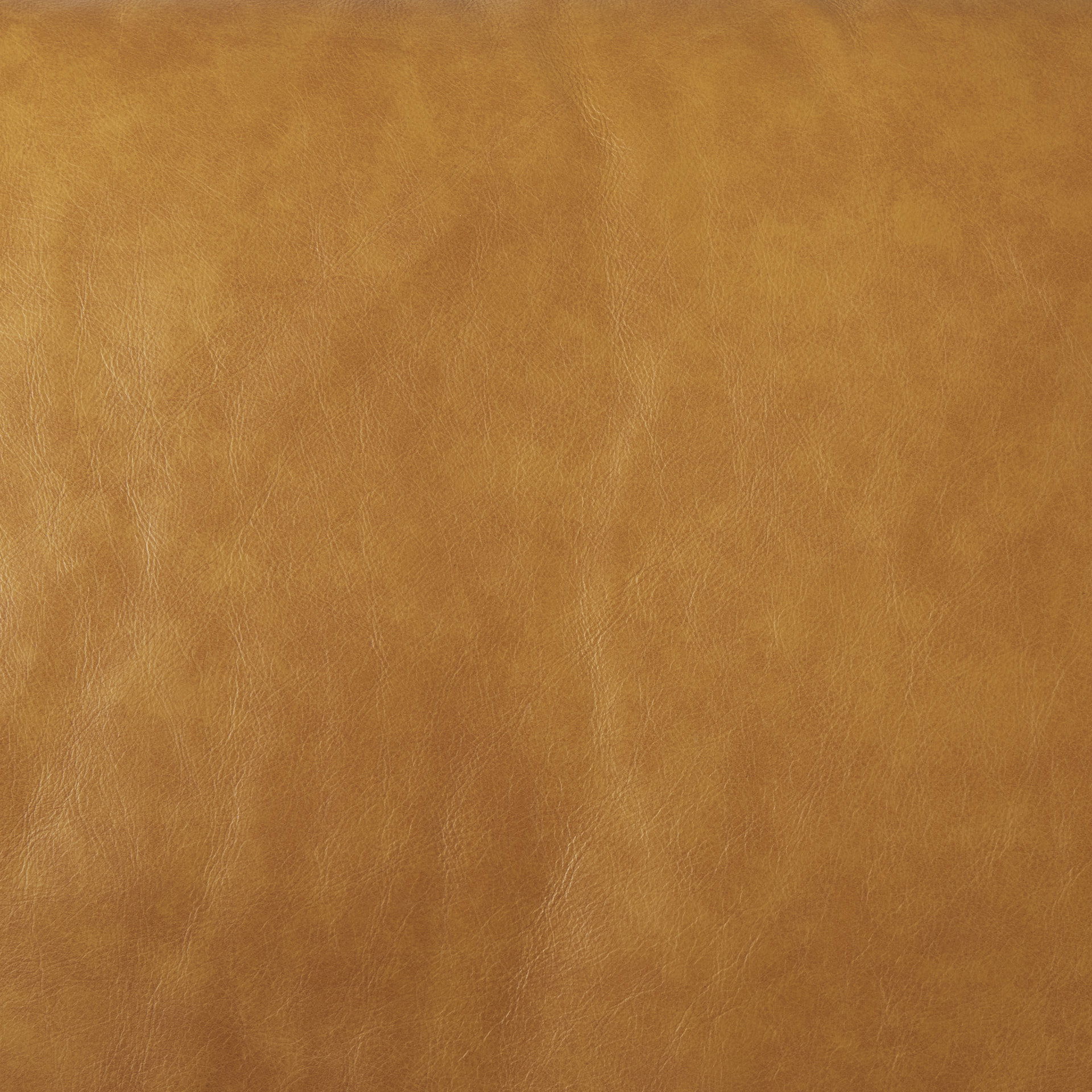 Svend 88.0L x 38.0W x 34.0H Tan Leather Sofa large image 