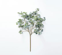 Online Designer Bedroom Faux Oversized Silver Dollar Eucalyptus Branch