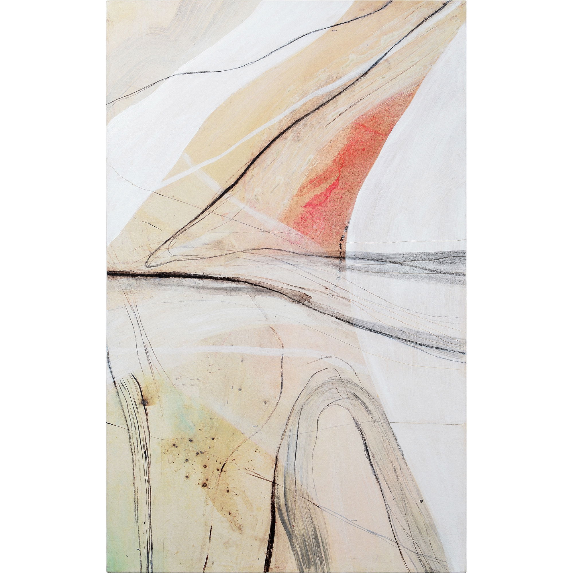 Curiosity Canvas Art large image 