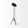 Debdou 22L x 22W x 61H Black and White Metal Adjustable Cinema-Style Floor Lamp, by Mercana thumbnail 6