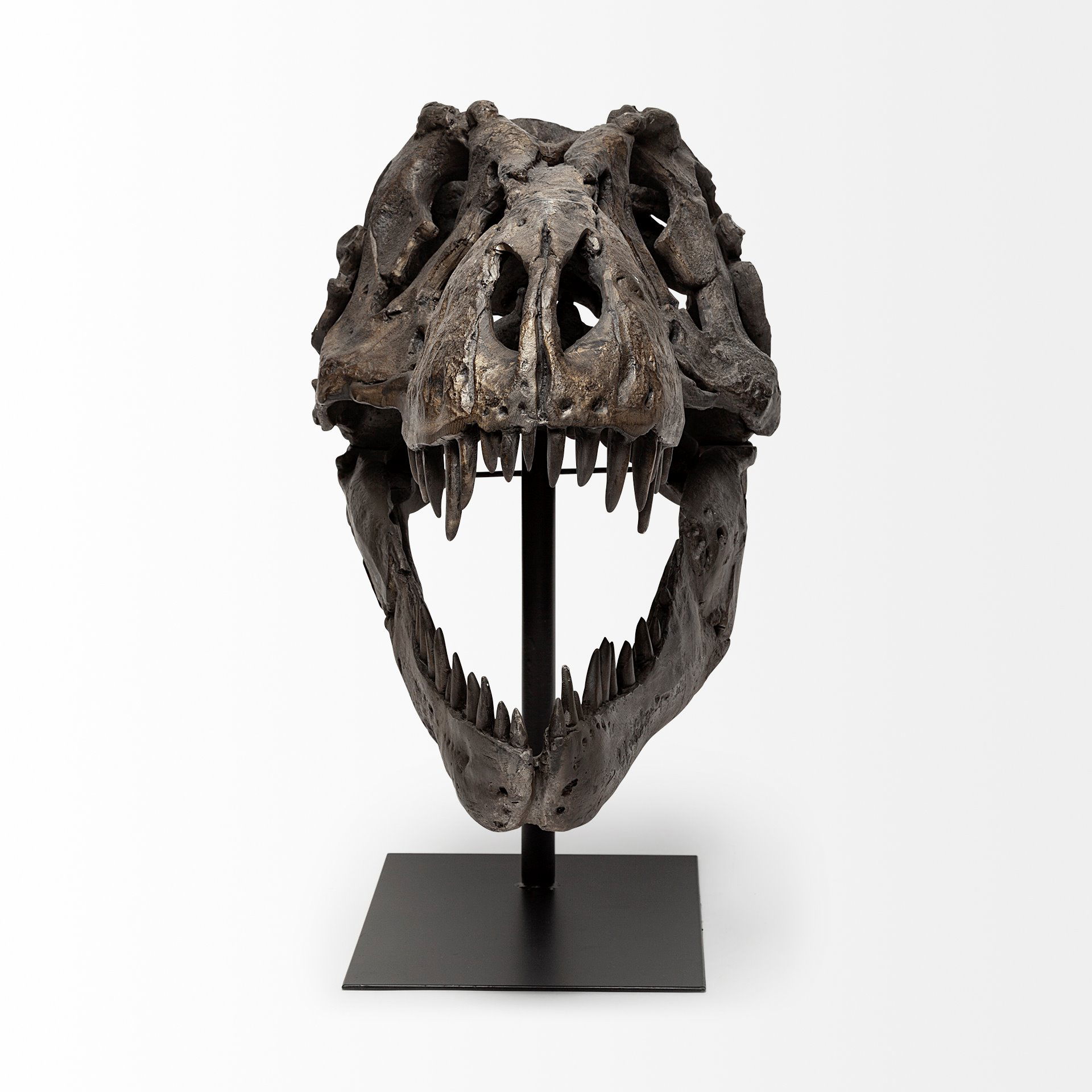 Lagrane 19L x 11W Brown Resin Tyrannosaurus T Rex Dinosaur Skull Replica, Decorative Object by Mercana, 19" length x 11" width x 20" height View 4