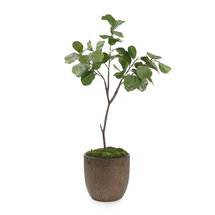 Online Designer Home Office John Richard 76" Fiddle Leaf Fig Plant