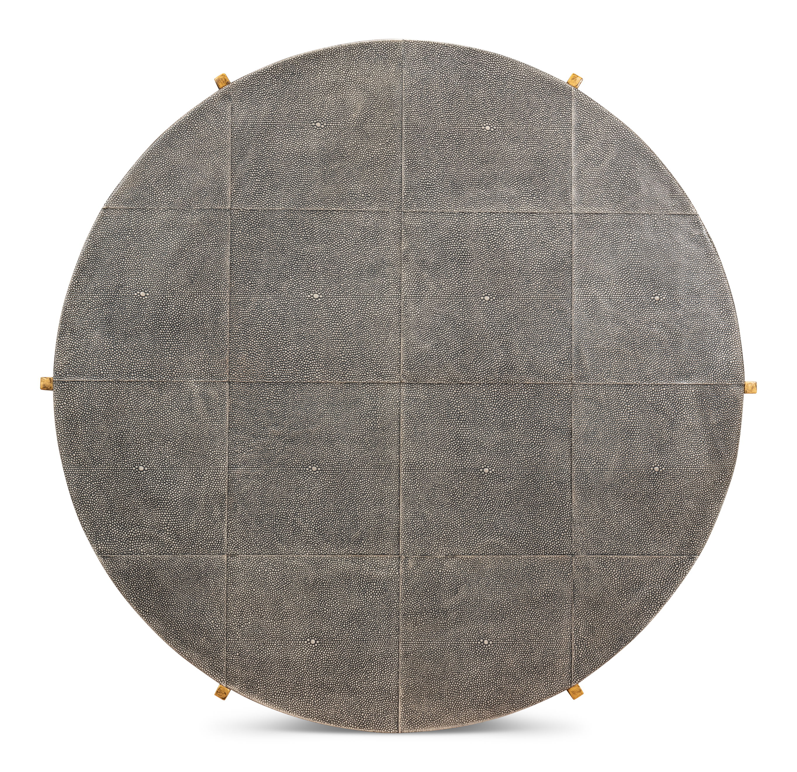 Grey Shagreen Coffee Table large image 