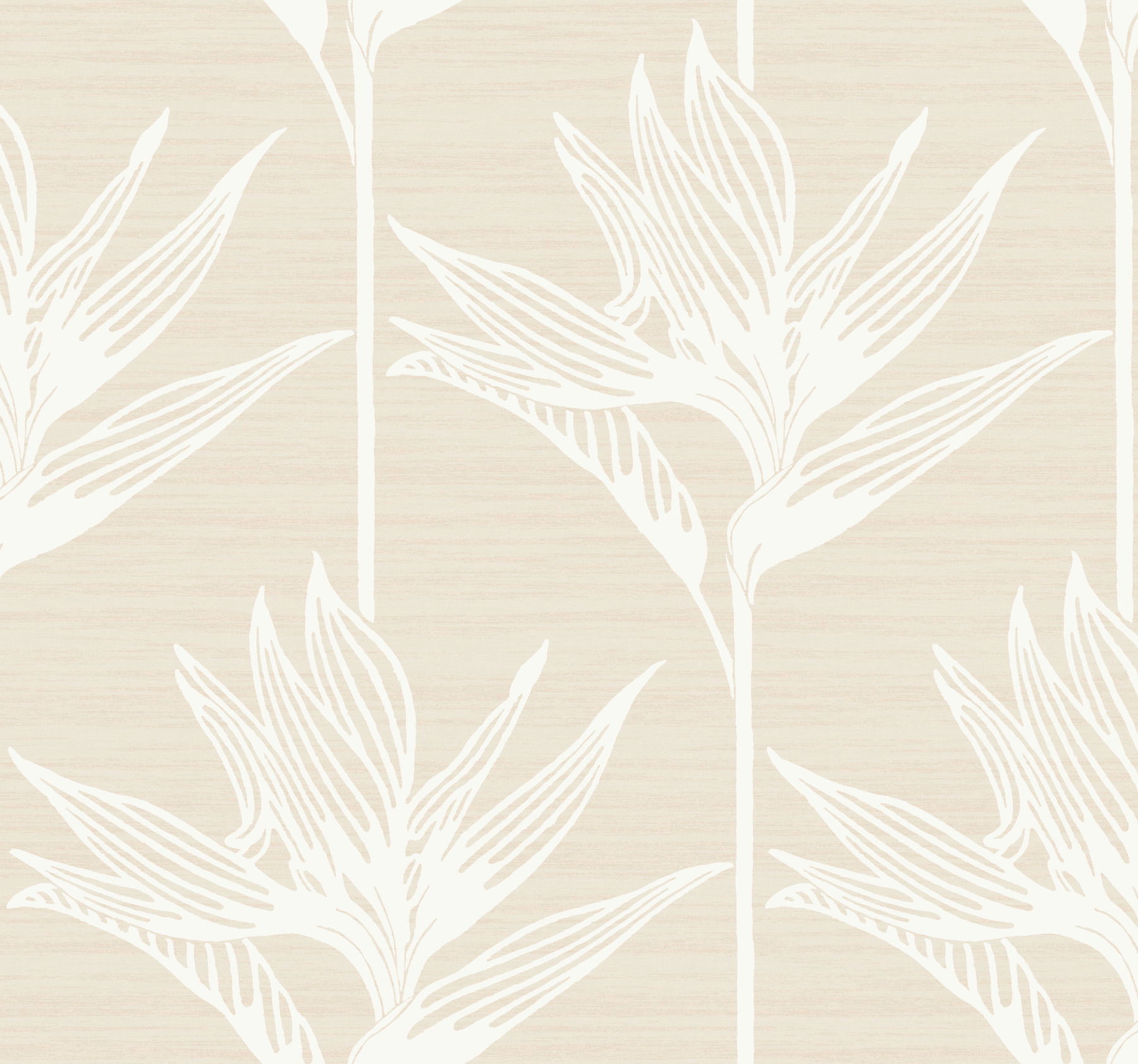Bird Of Paradise White Wallpaper large image 