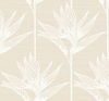 Bird Of Paradise White Wallpaper thumbnail 0